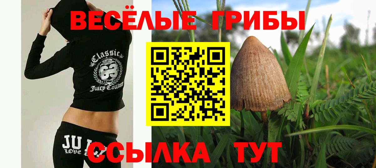 Галлюциногенные грибы Cubensis Кропоткин