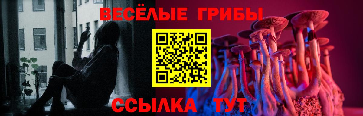 Галлюциногенные грибы Psilocybine cubensis  Вход с VPN  Кропоткин 
